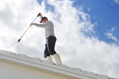 Roof Cleaning Business