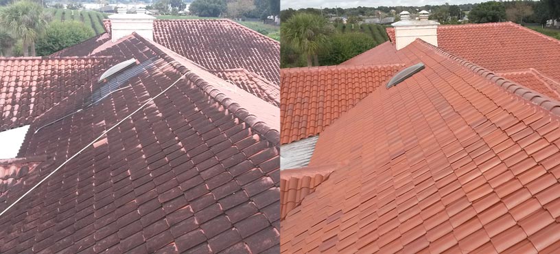 Protect Copper Roof