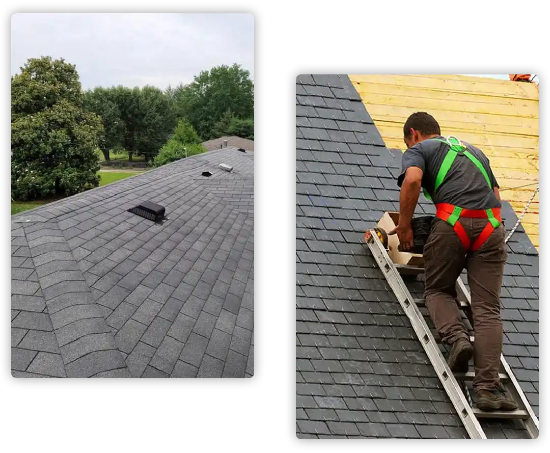 Roof Quality and Professionalism