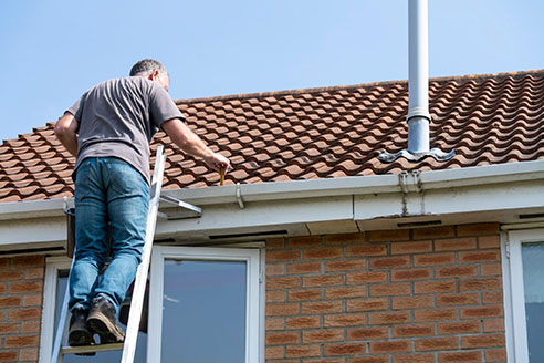 Tile Roof Cleaning Service