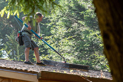 Roof Cleaning